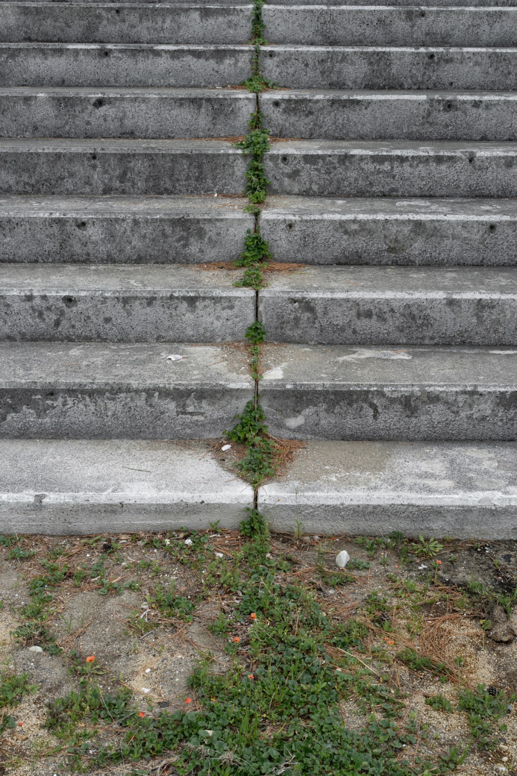 Fifteen Steps